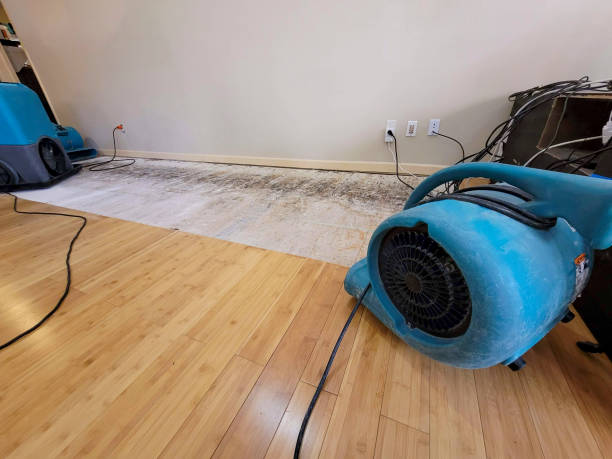 Professional Water Damage Repair technician working in Yucaipa, CA